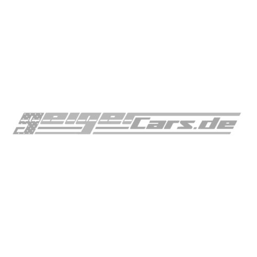 Mustang-Leistungssteigerung Fächerkrümmer
